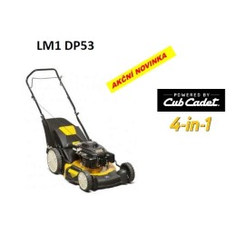 LM1 DP53