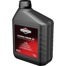 Briggs & Stratton SAE30 -...