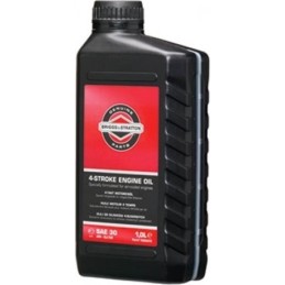 Briggs & Stratton SAE30 -...